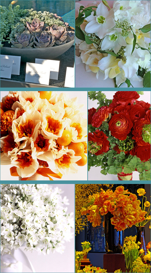David Stark's Wedding Designs: Bold, Elegant, and Tropical Inspiration