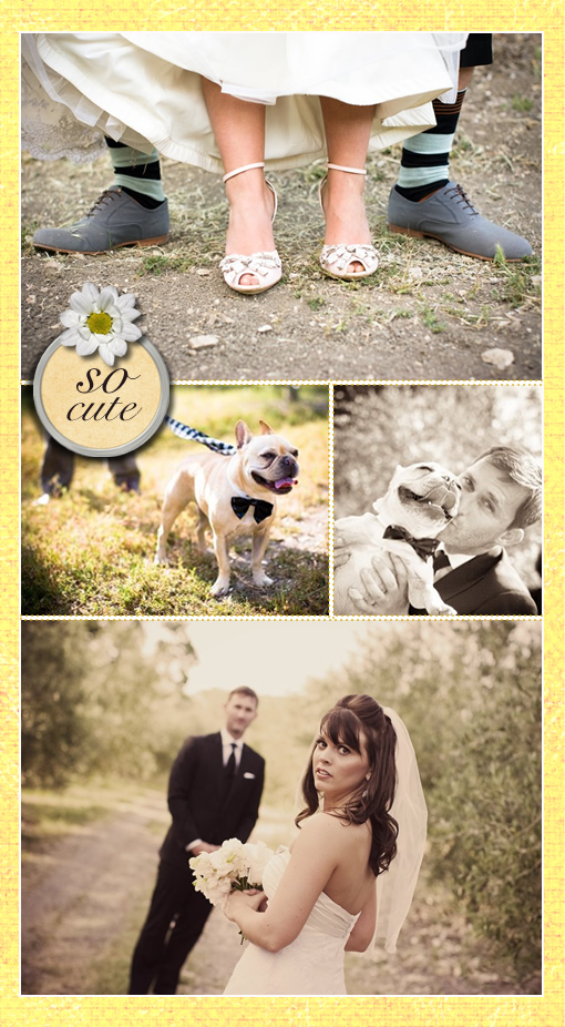 Charming Farmhouse Wedding at Willow Creek Olive Ranch