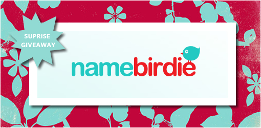 NameBirdie Gold Package Giveaway for Newlyweds on Wedding Chicks