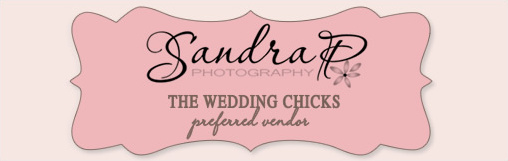 Mike and Erika's Wedding: A Sandra P Photography Masterpiece