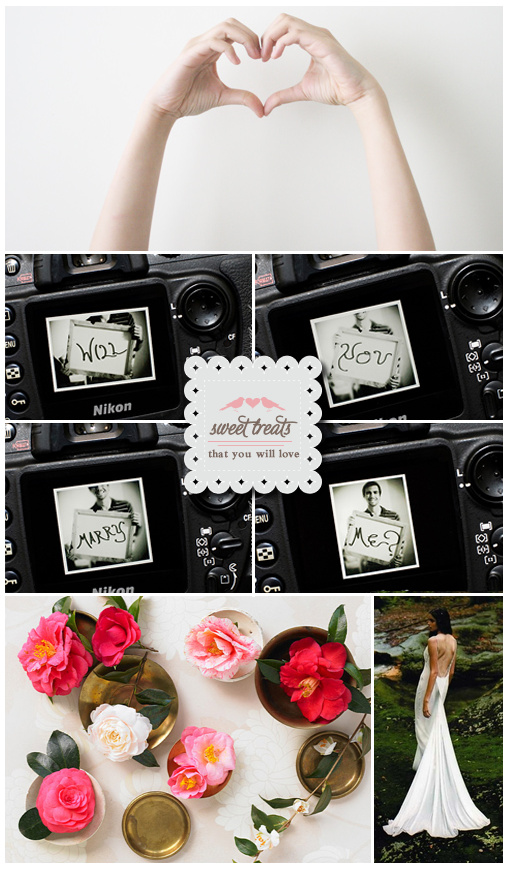 Wedding Chicks: Sweet Treats, Real Weddings, and DIY projects for 2010