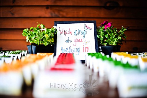 Chapel Hill Wedding: Seed Packet Place Cards & Fruit Table Names