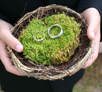 Rustic Inspiration | Grass Inspired Decor