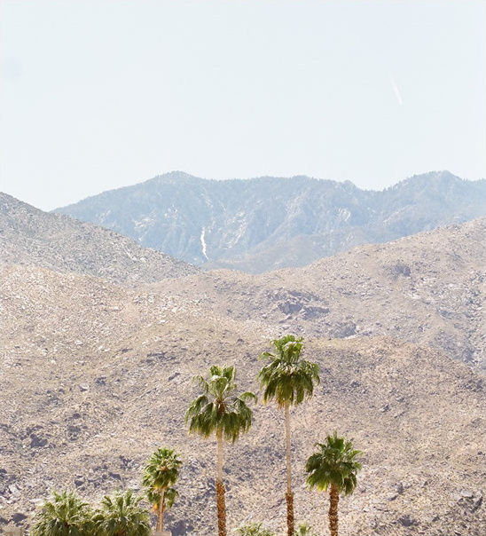 Modern Palm Springs Wedding at Horizon Hotel: Lane Dittoe Photography