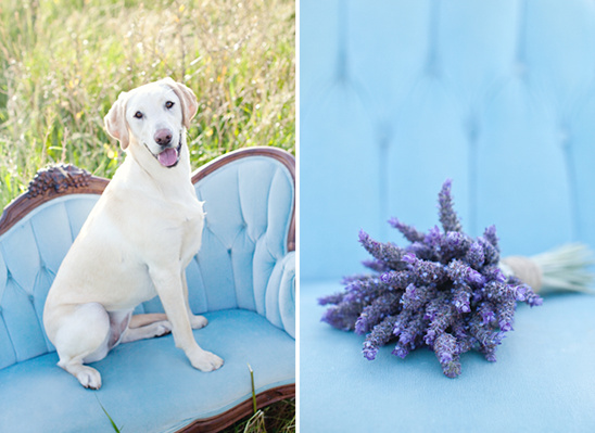 Dreamy Sunset Engagement with Cake, Berries, and Dog | Marin Kristine
