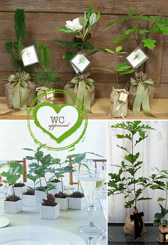 Eco-Friendly Wedding Favors: Plant Seeds of Life