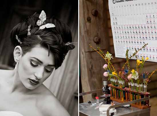 Geek Chic Wedding: Rustic Ranch Meets Science Lab