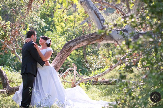Romantic Wedding Photo: Sharon & Joe's Embrace Under a Tree
