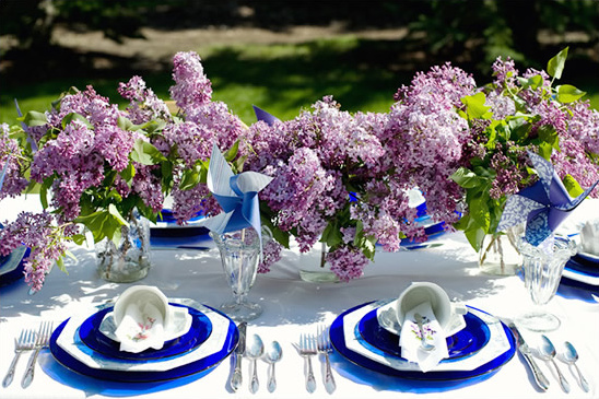 DIY Backyard Wedding Ideas: Simple, Charming, and Budget-Friendly!