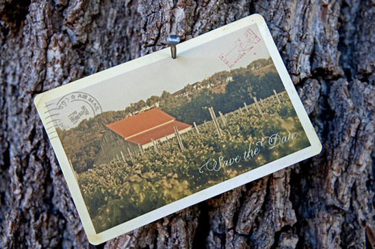 Countryside Bohemian Wedding: Santa Barbara Vendors' Stunning Shoot
