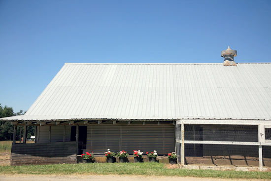 Oregon Farm Wedding: A Rustic Celebration of Love and Handmade Details