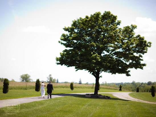 Romantic Blue Ridge Mountain Wedding at Rockwood Manor