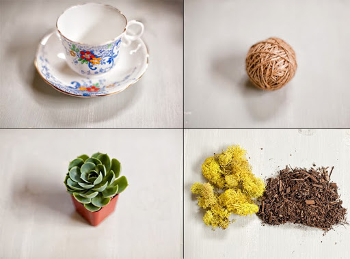 DIY Succulent Teacup Wedding Favors and Place Settings
