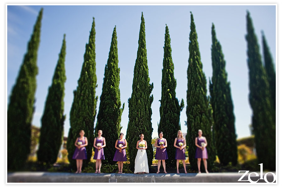 Lindsey & Ace's El Cortez Wedding Photos
