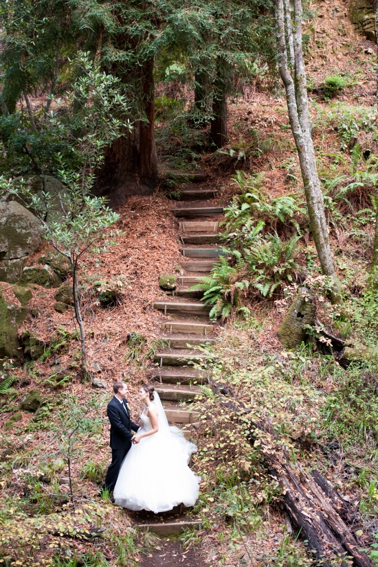 Redwood Waterfall Wedding: A Mill Valley Celebration
