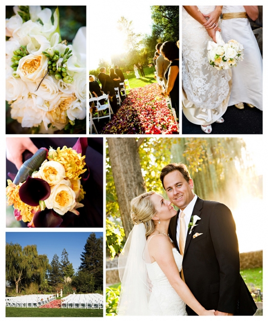 Cline Cellars Wedding: A Picturesque Wine Country Venue