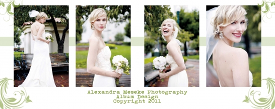 40% Off Wedding Albums - Alexandra Meseke Photography