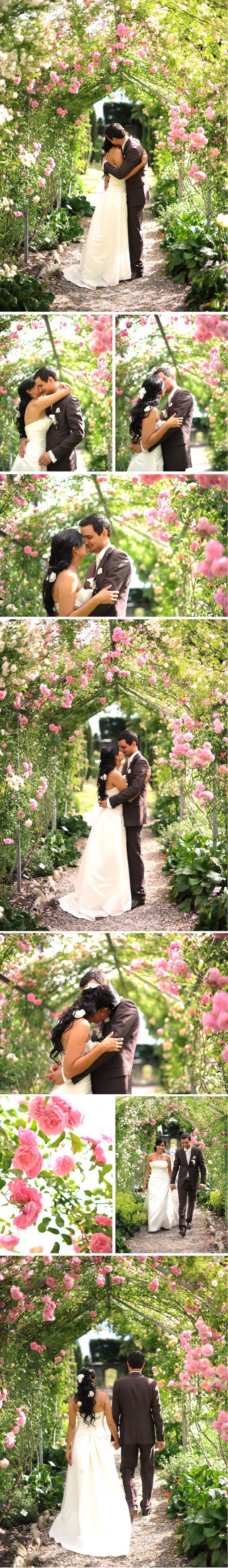 Romantic Wedding Portraits Amidst Blooming Roses