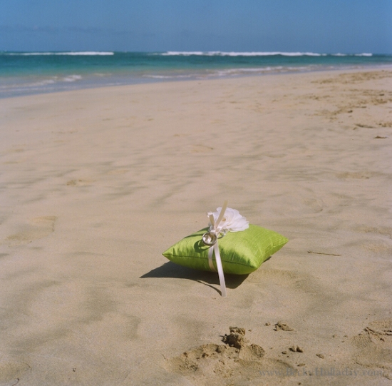Beach Wedding: Chiffon Flower Ring Pillow with Ocean Backdrop