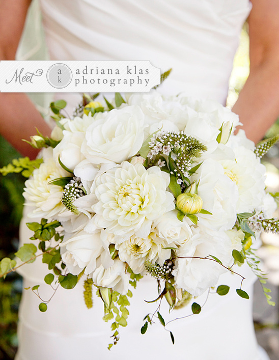 Adriana Klas Photography: Bay Area Wedding Photographer Showcase