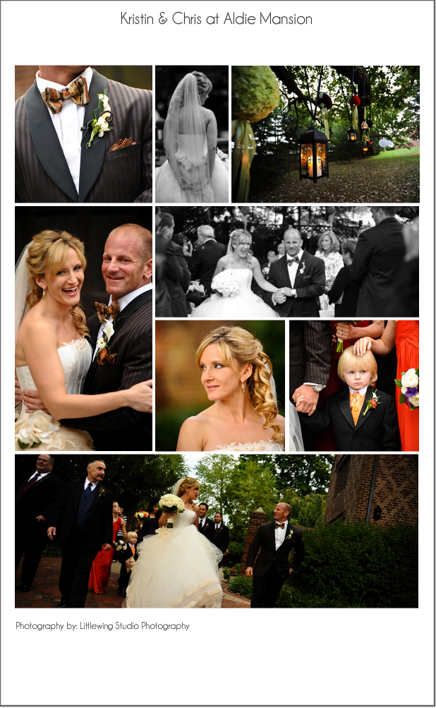 Elegant Aldie Mansion Wedding Photos: Kristin & Chris