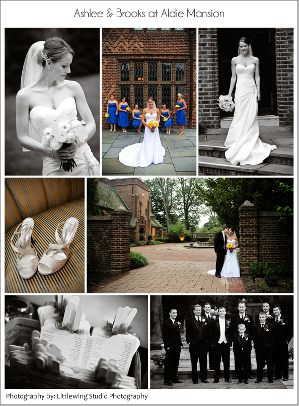 Elegant Aldie Mansion Wedding: Ashlee & Brooks' Photos in Doylestown