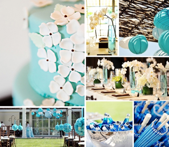 Solage Resort Calistoga: Rustic Elegance Wedding Venue