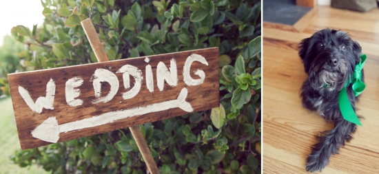 Charming Beach Wedding Captured by Paige Winn Photography