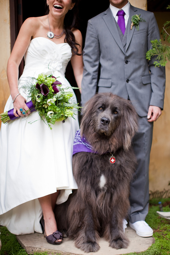 Rustic Nestldown Wedding: DIY Details in the Santa Cruz Redwoods