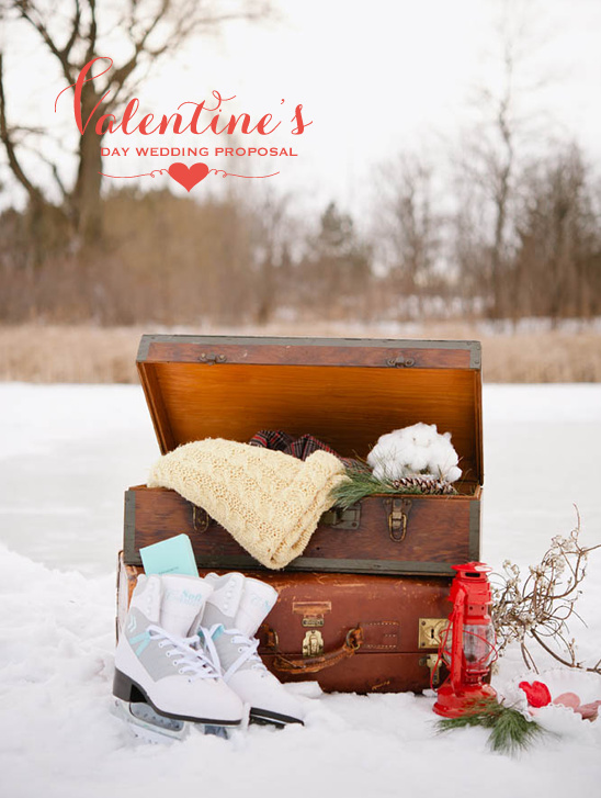 Romantic Valentine's Day Proposal: Planning & Photography in MN