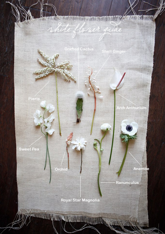Spring White Wedding Flowers: Anemones, Ranunculus, More!