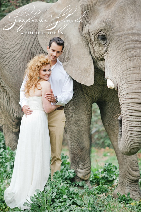 African Safari Wedding Inspiration with Elephant