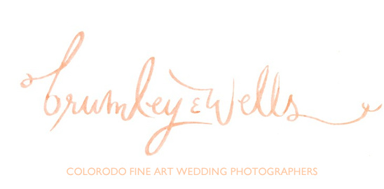 Brumley & Wells: Exclusive Wedding Vendors