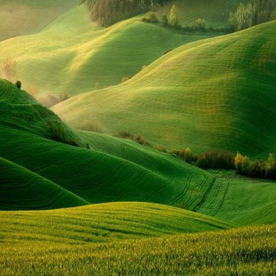 Eco-Friendly St Patricks Day: Irish Traditions with a Twist