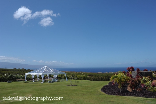Maui Wedding: Nicole & Jaysen's Kaanapali Magic with Rainbows & Sunset