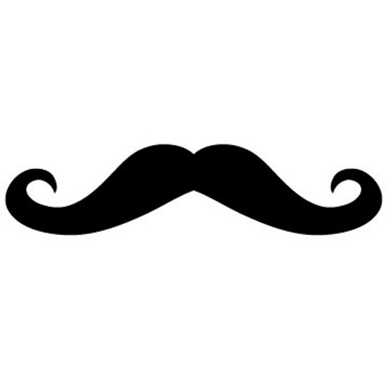 Poetry Photo Booths: Celebrating the Z Mustache, Our #1 Prop!