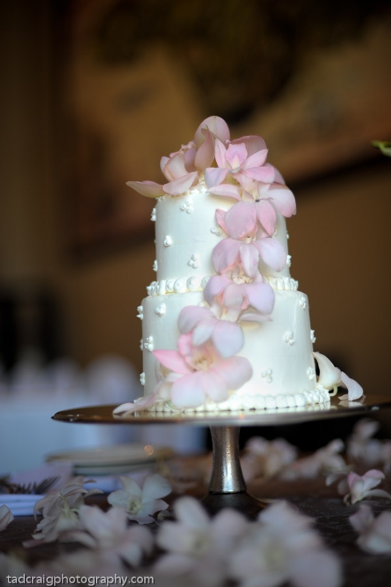 Pink Wedding Inspiration: Elegant Cake & Ideas for Your Dream Day