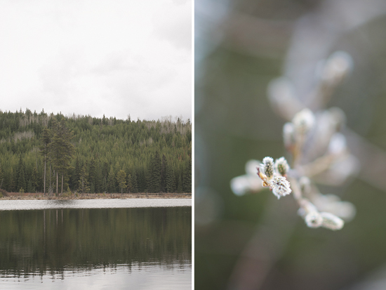 Rustic Mountain Wedding in Kelowna: Simple, Romantic, and Cowboy Flair