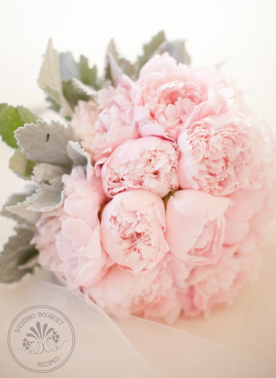 Dreamy Pink Peony and Dusty Miller Wedding Bouquet Inspiration