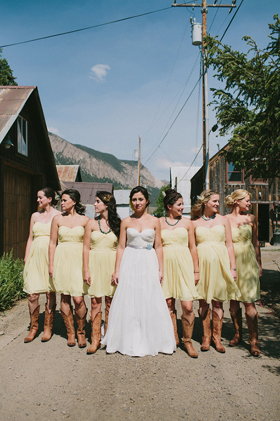Crested Butte Wedding: Swiss Dots, Yellow & Gray Country Chic
