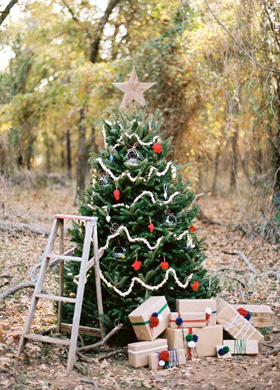 Newlyweds' Farm Christmas Tree Photoshoot