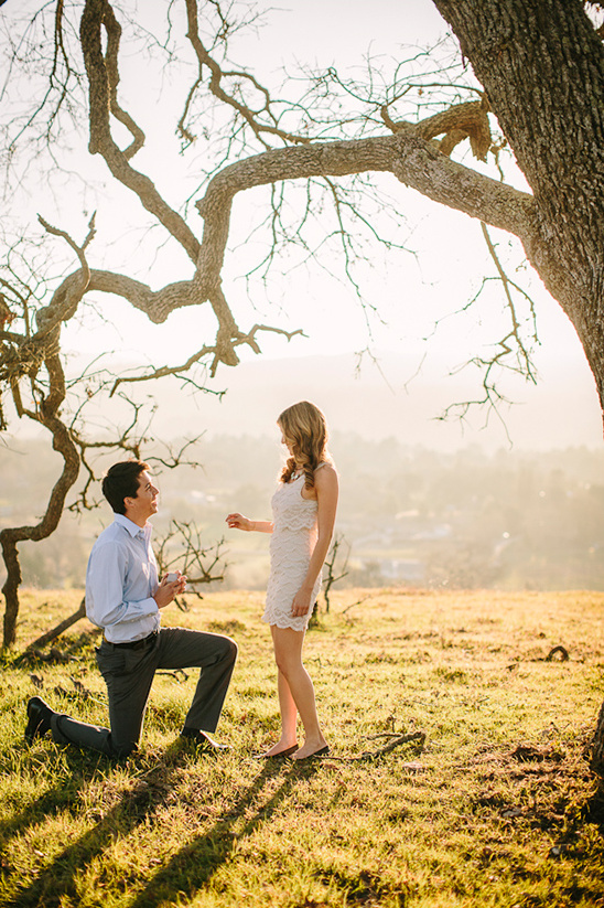 Surprise Proposal Photoshoot: Valentine's Day Engagement