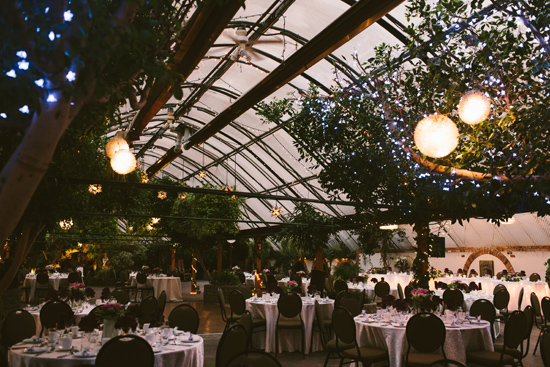 Joy and Andrew's Wedding: A Greenhouse Oasis in Newmarket, Ontario