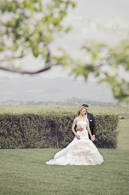 Napa Valley Wedding & Post-Wedding Session