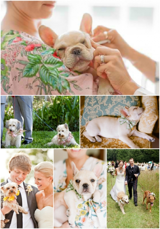Wedding Doggies and Bridesmaids in Plum Pretty Sugar Robes