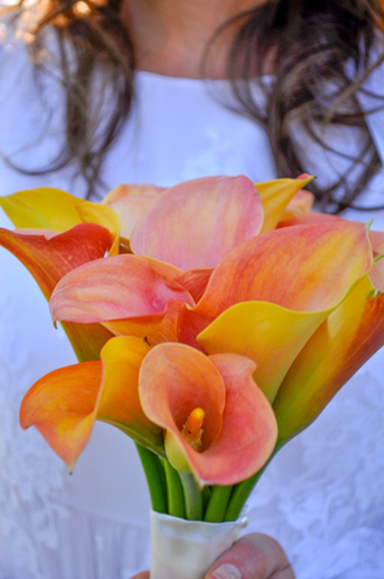 Boho Outdoor Wedding at Hopkins Inn with Fall Colors