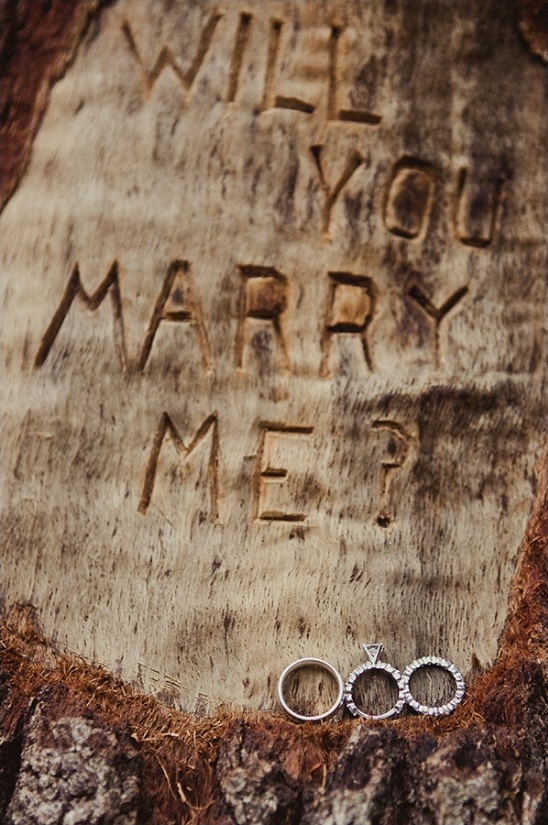 Backyard Wedding Bliss: Hayley and Kyle's Cozy DIY Celebration