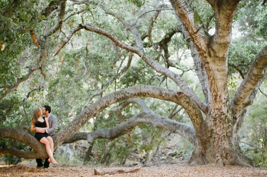 Romantic Picnic Engagement: Classic, Timeless Photoshoot with Heirloom Details