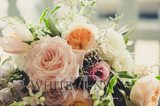 Carlie & James's Peachy Okahu Bay Wedding