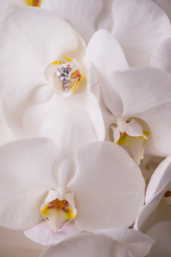 Waldorf Astoria Wedding: Elegant Ballroom & Romantic Details